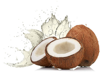 virgin coconut oil manufacturers in Indiat